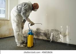 Environmental Consulting for Mold Prevention in Cliffwood Beach, NJ